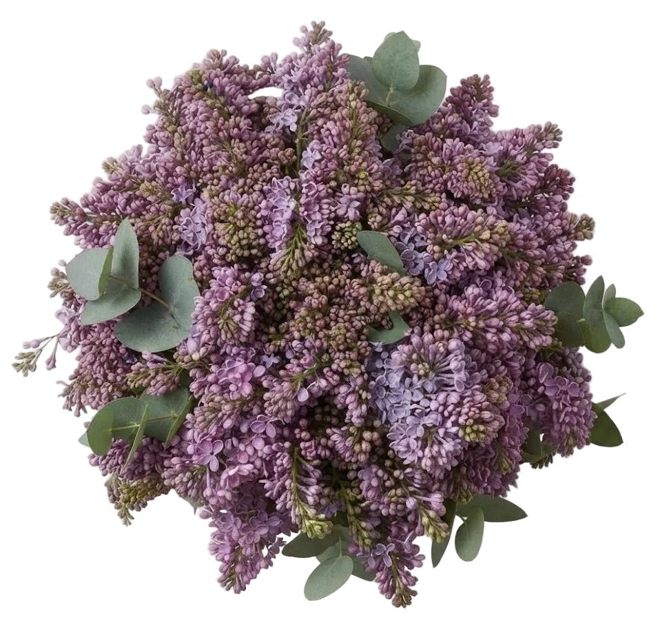 Lilac Bouquet with Eucalyptus - Florist London