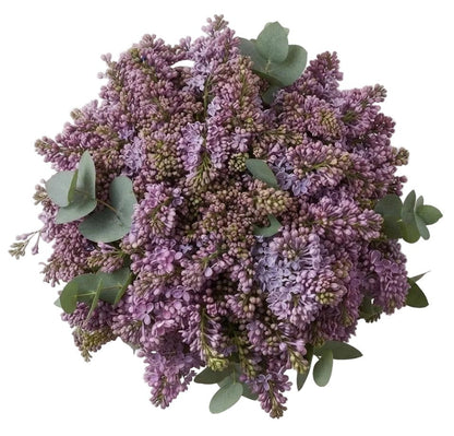 Lilac Bouquet with Eucalyptus - Florist London