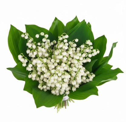 Lily of the Valley Fragrant Bouquet - Florist London