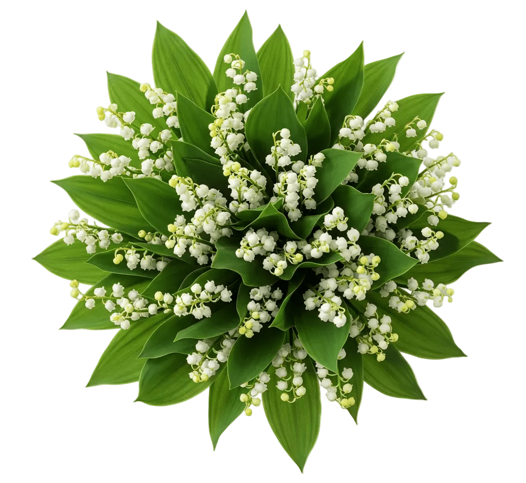 Lily of the Valley with Greenery Fragrant Bouquet - Florist London