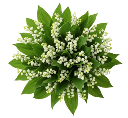 Lily of the Valley with Greenery Fragrant Bouquet - Florist London