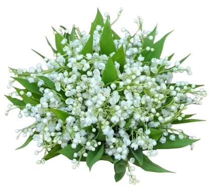 Lily of the Valley with Greenery Fragrant Bouquet - Florist London
