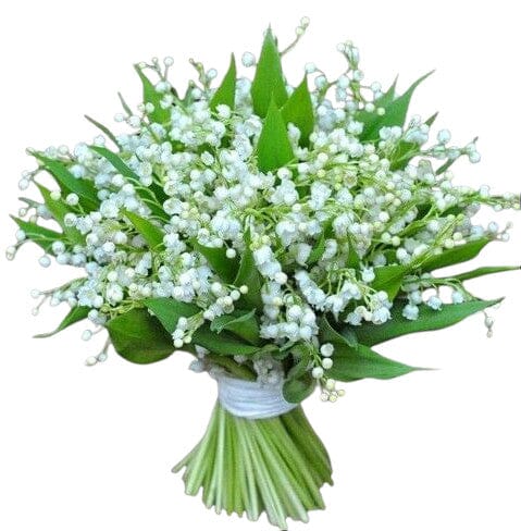 Lily of the Valley with Greenery Fragrant Bouquet - Florist London