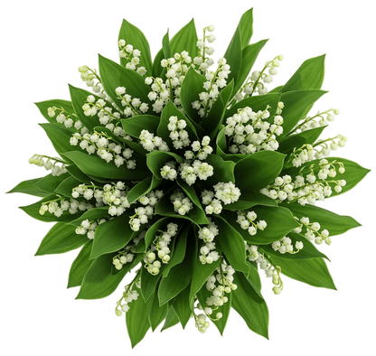 Lily of the Valley with Greenery Fragrant Bouquet - Florist London