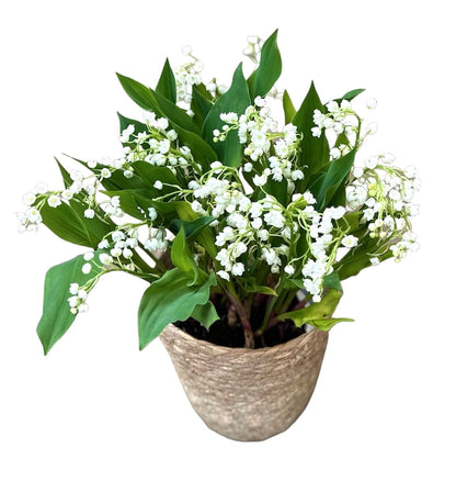 Lily of Valley in a Circular Basket - Florist London