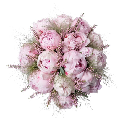 Lovely Bouquet of Peonies and Erica - Florist London
