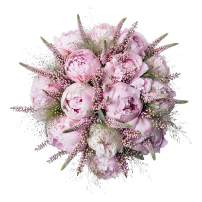 Lovely Bouquet of Peonies and Erica - Florist London