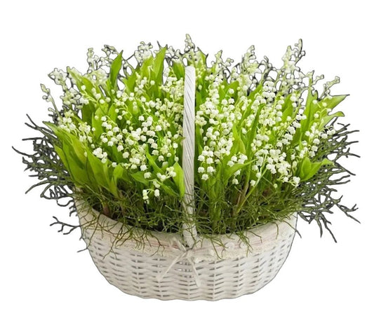 Luxury Basket of Lily of The Valley with Greenery - Florist London