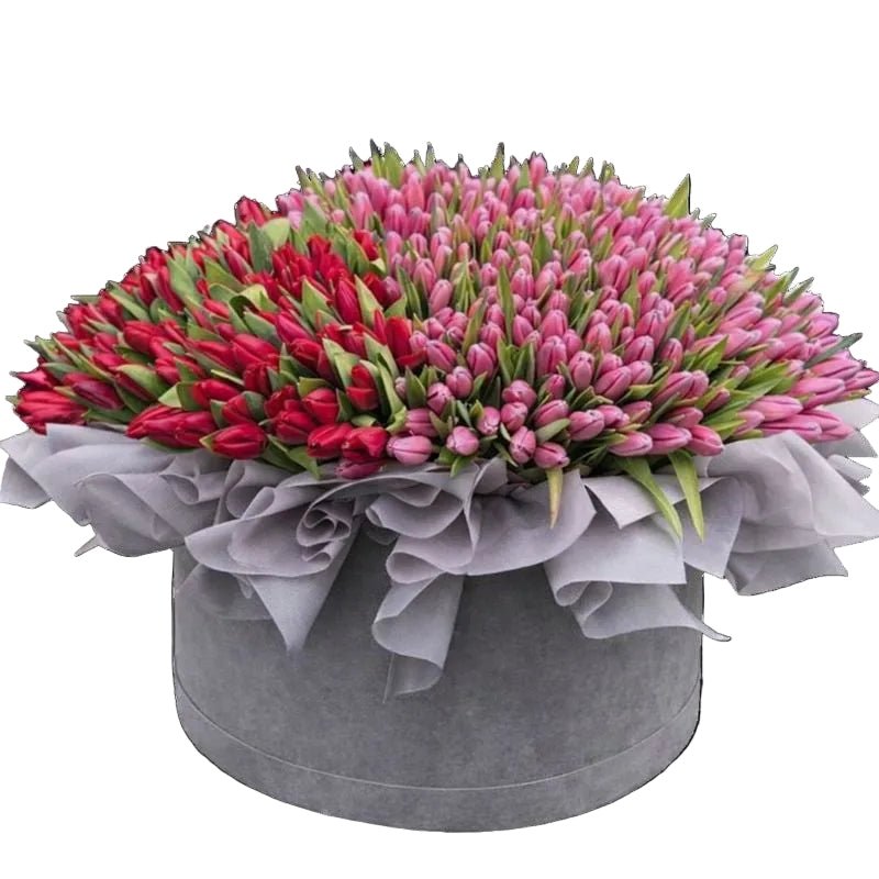 Luxury Box of Two Colours Tulips - Florist London