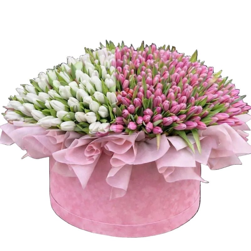 Luxury Box of Two Colours Tulips - Florist London