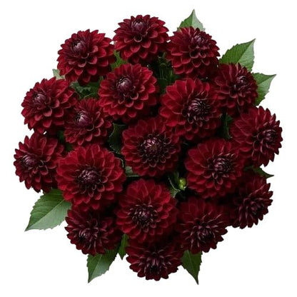 Luxury Burgundy Dahlia Bouquet - Florist London