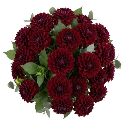 Luxury Burgundy Dahlia Bouquet - Florist London