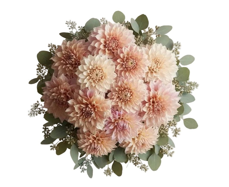 Luxury Cafe au Lait Dhalia Bouquet with Eucalyptus - Florist London