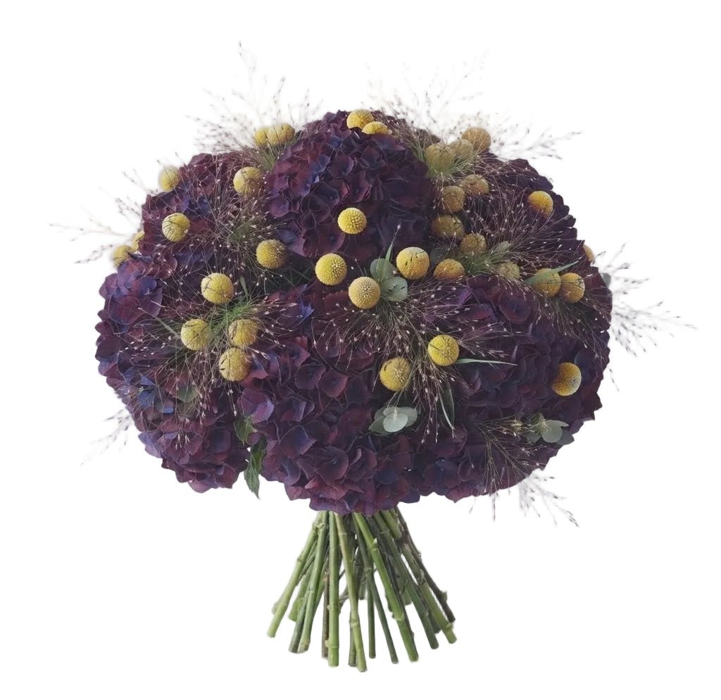 Luxury Hydrangea Bouquet with Craspedia - Florist London