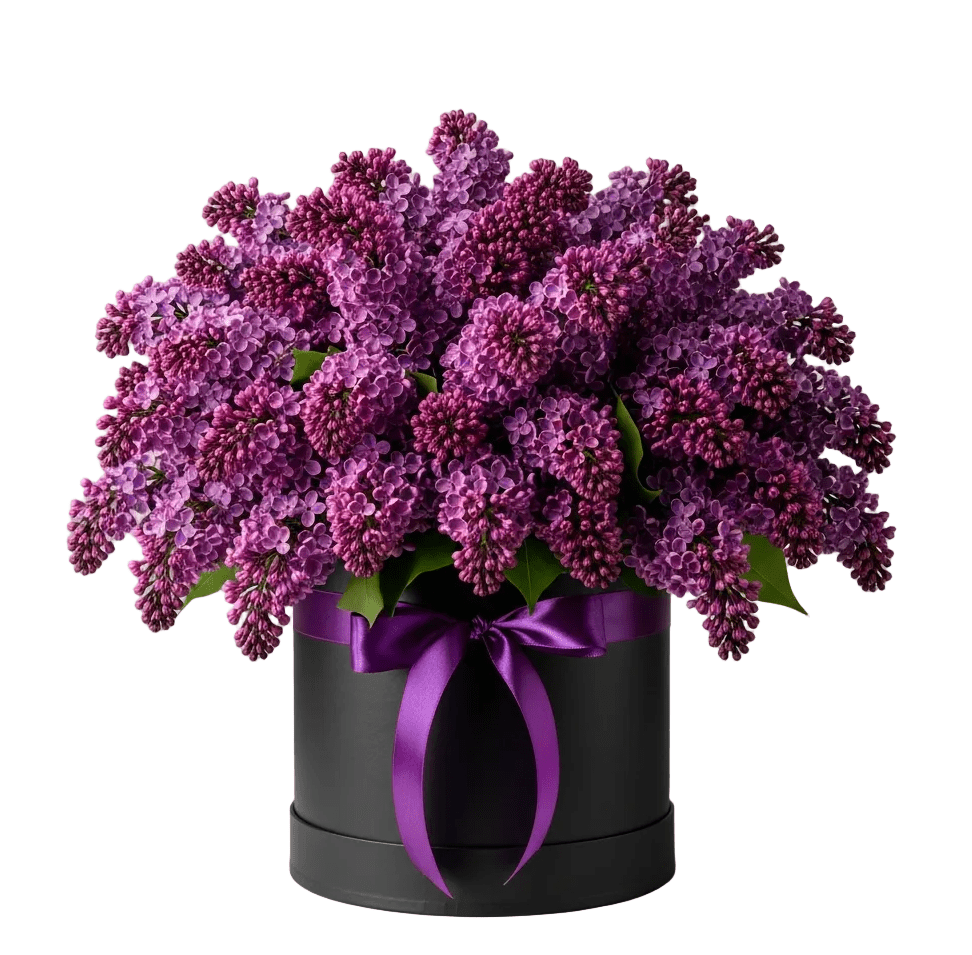 Luxury Lilac Box - Florist London