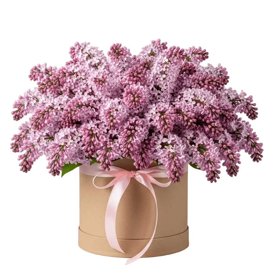 Luxury Lilac Box - Florist London