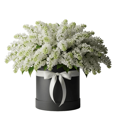 Luxury Lilac Box - Florist London