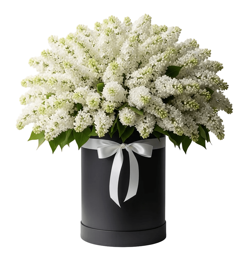 Luxury Lilac Box - Florist London