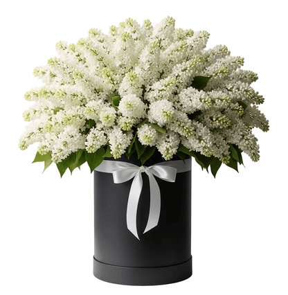 Luxury Lilac Box - Florist London