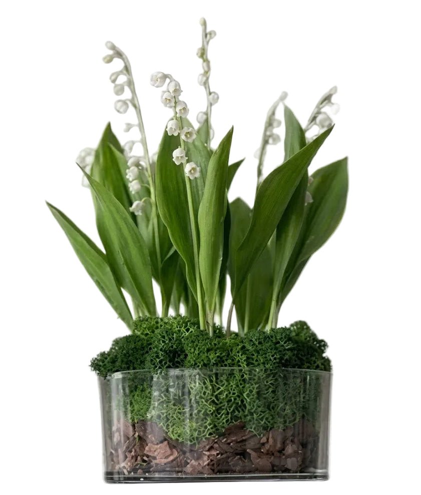 Luxury Lily of the Valley Glass Pot Arrangement - Florist London