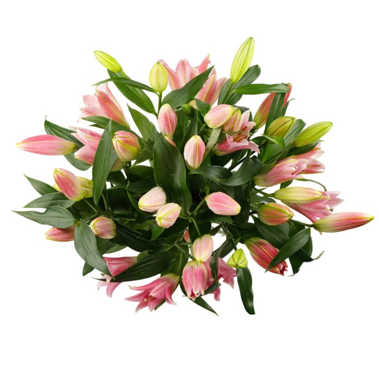 Luxury Pink Lily Bouquet - Florist London