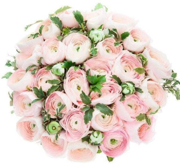 Luxury Ranunculus Hanoi Bouquet - Florist London