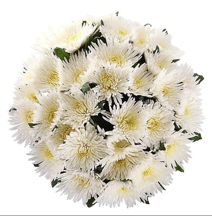 Luxury White Chrysanthemum Bouquet - Florist London