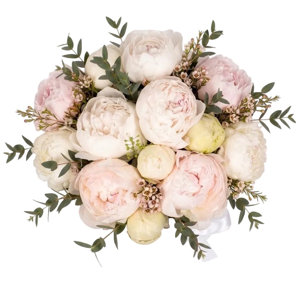 Luxury White Peonies Box - Florist London