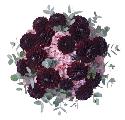Magnificent Bouquet of Hydrangea and Burgundy Dahlia - Florist London