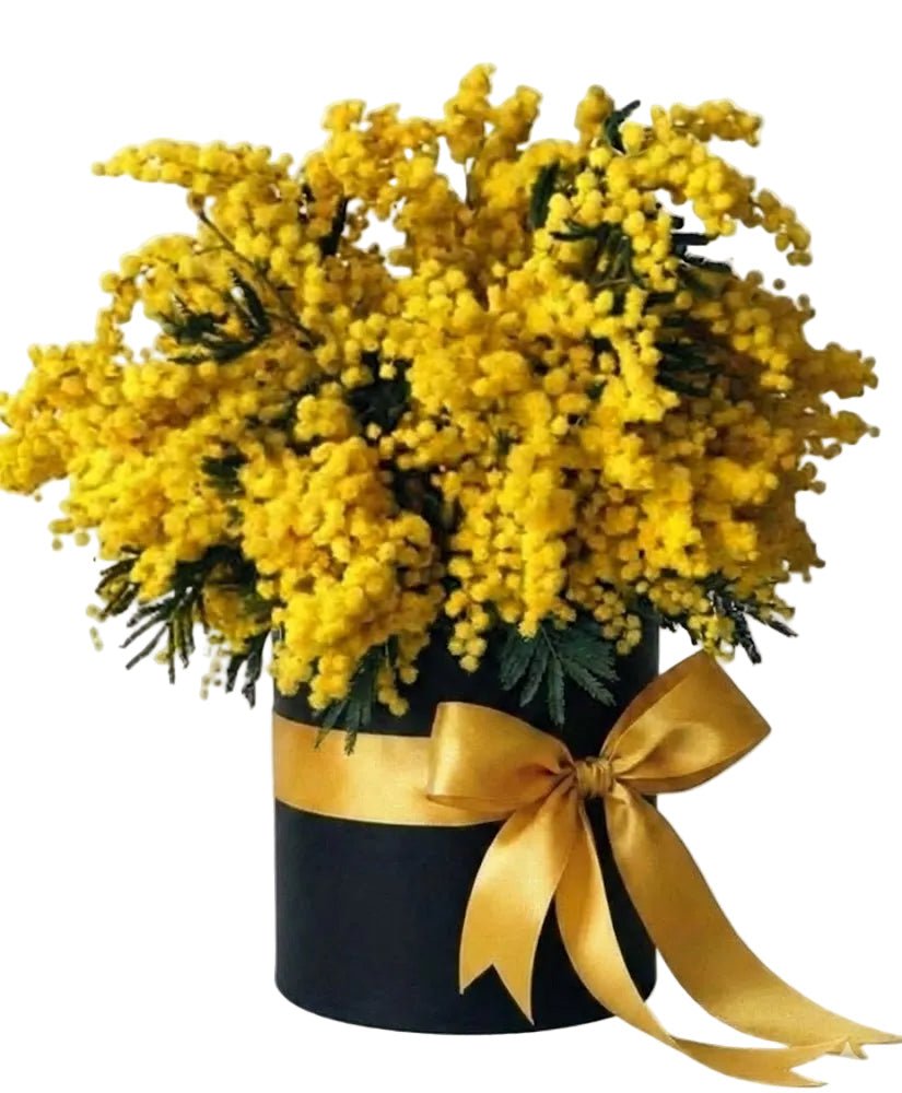 Mimosa Scented Box - Florist London