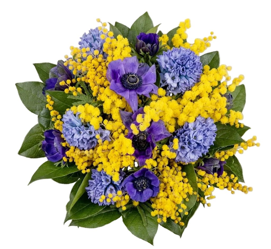 Mimosa with Blue Bouquet - Florist London