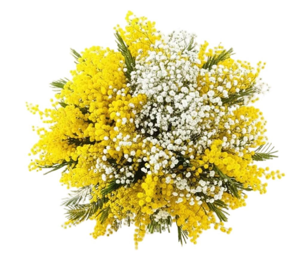 Mimosa with Gypsophila Pretty Bouquet - Florist London