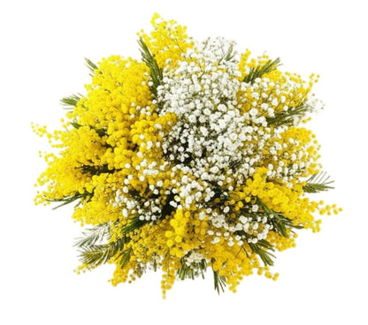 Mimosa with Gypsophila Pretty Bouquet - Florist London