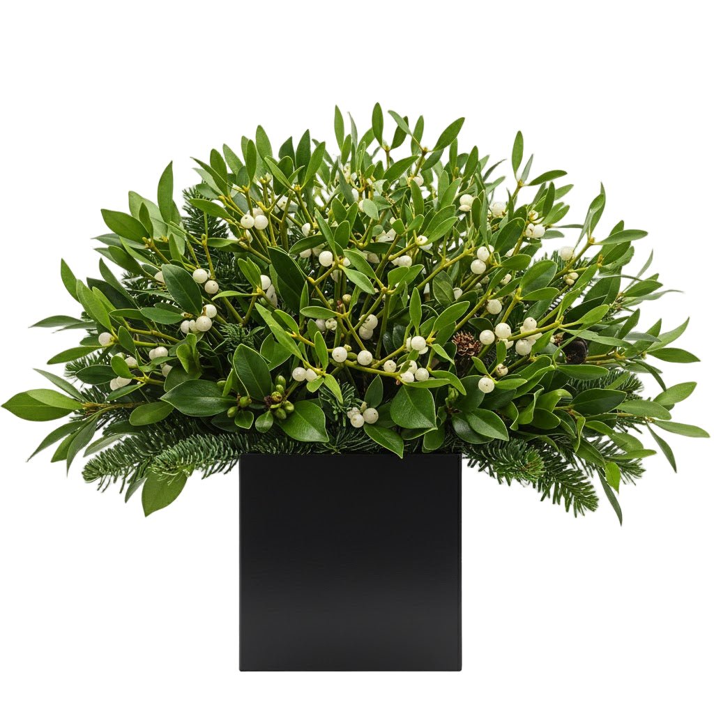 Mistletoe Festive Box - Florist London
