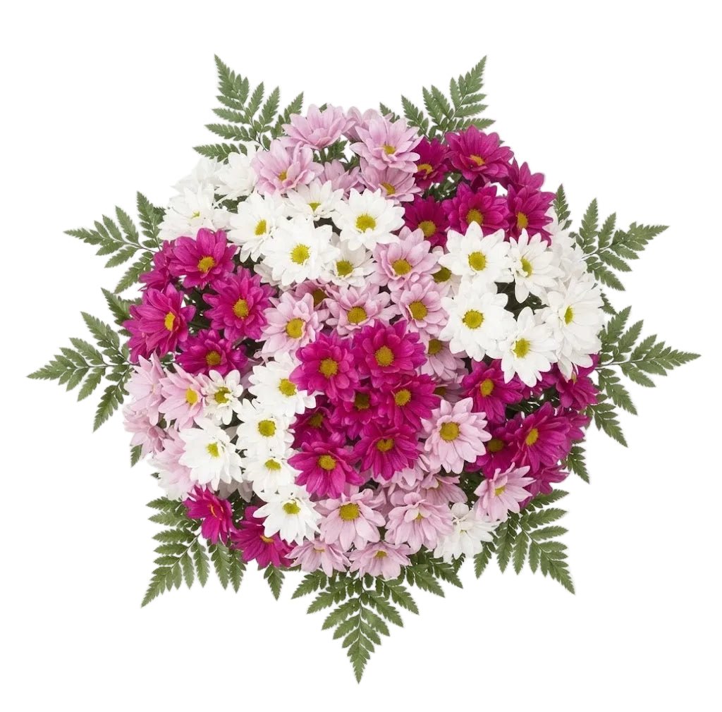 Mix Daisy Chrysanthemum Bouquet - Florist London