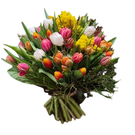Multicolored Tulips with Mimosa and Greenery - Florist London