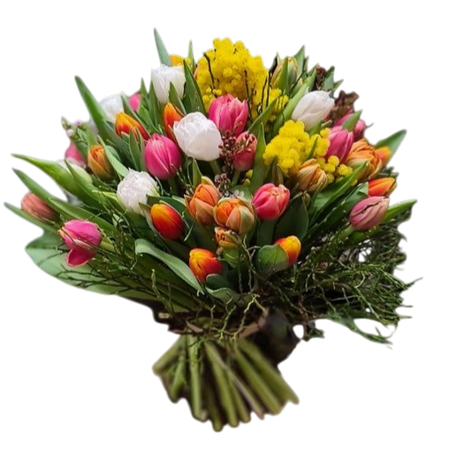 Multicolored Tulips with Mimosa and Greenery - Florist London