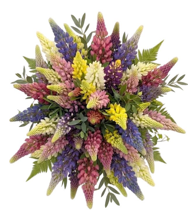 Multicoloured Bouquet of Lupinus with Greenery - Florist London