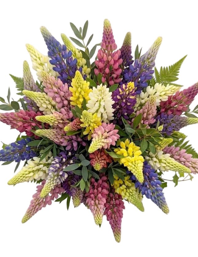 Multicoloured Bouquet of Lupinus with Greenery - Florist London