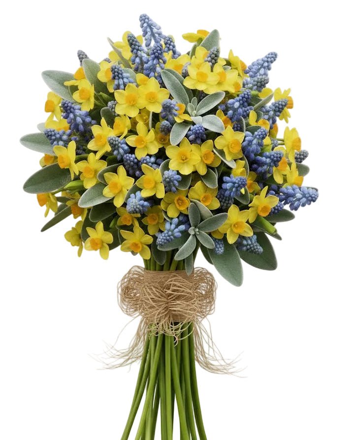 Narcissus and Muscari Bouquet - Florist London