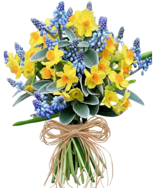 Narcissus and Muscari Bouquet - Florist London