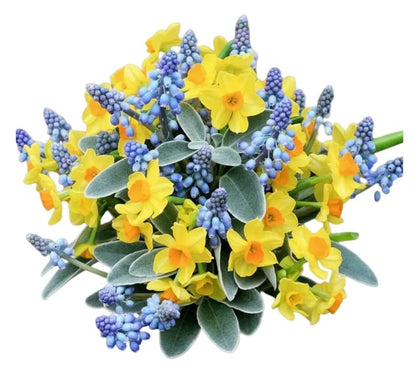 Narcissus and Muscari Bouquet - Florist London