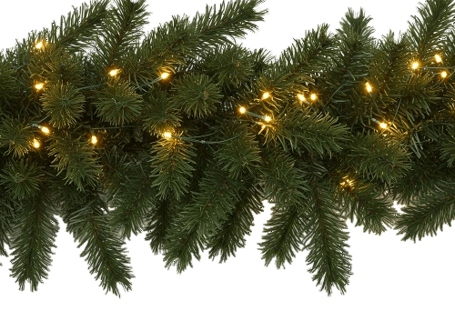 Natural Fresh Classic Garland with Lights - Florist London