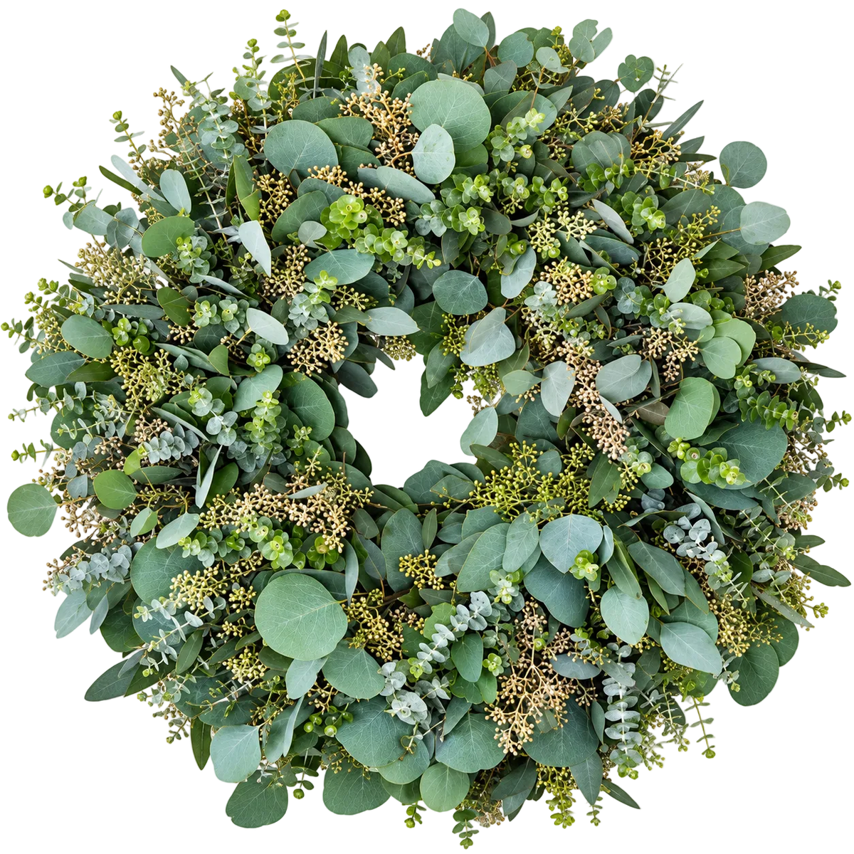 Natural Populus Berry Wreath - Florist London