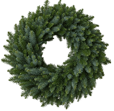 Natural Spruce Door Wreath - Florist London