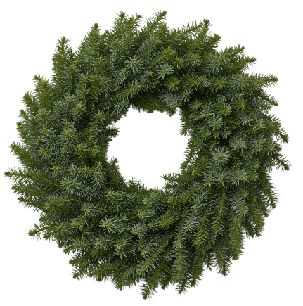 Natural Spruce Door Wreath - Florist London