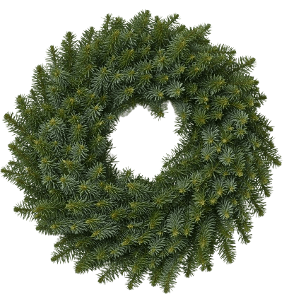 Natural Spruce Door Wreath - Florist London