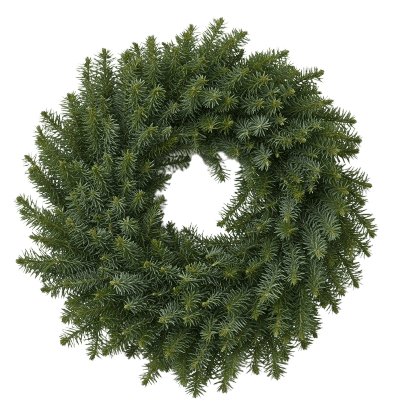 Natural Spruce Door Wreath - Florist London