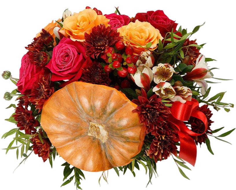 Orange and Red in a Pumpkin - Florist London