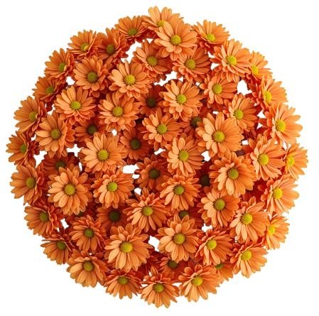 Orange Daisy Chrysanthemum Bouquet - Florist London